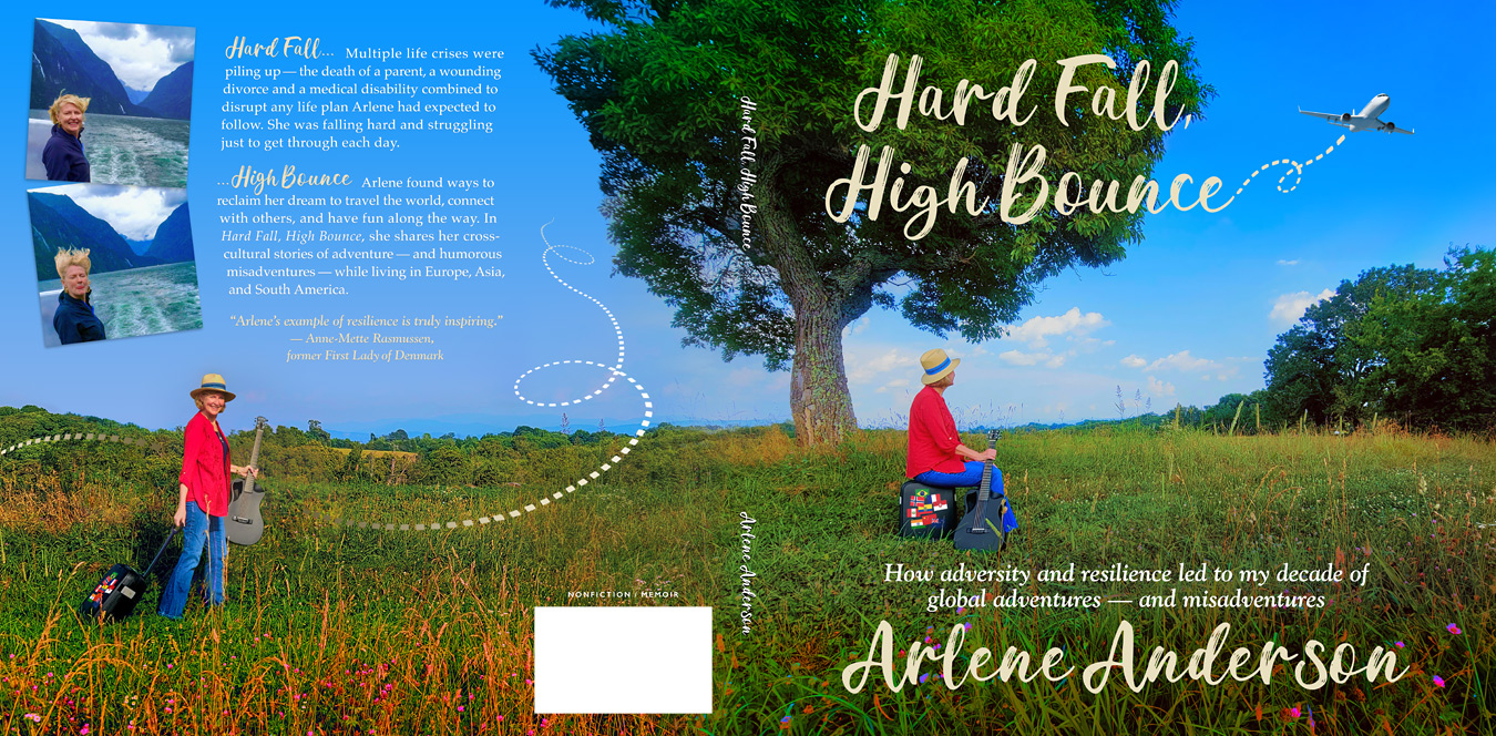 Hard Fall, High Bounce by Arlene Anderson